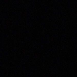 Meet your Posher, Ava